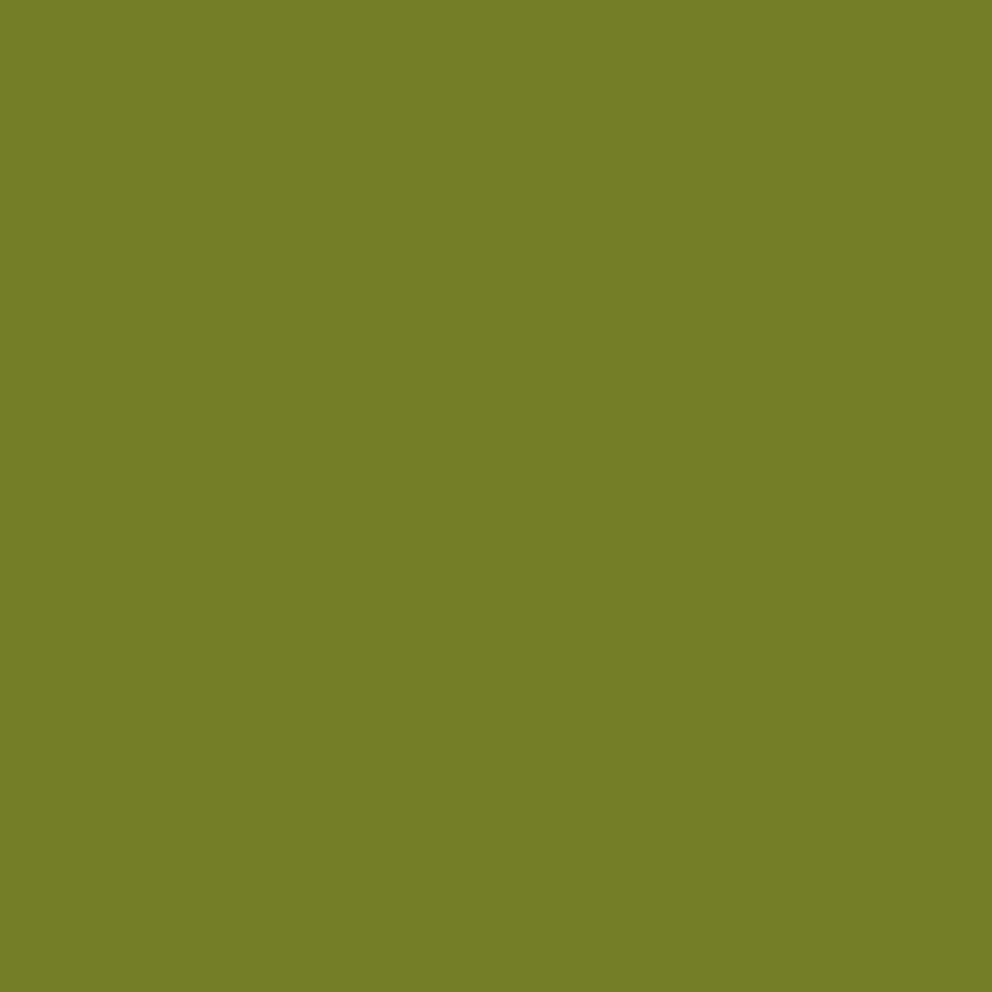 Spectrum Solid by Makower -Avocado