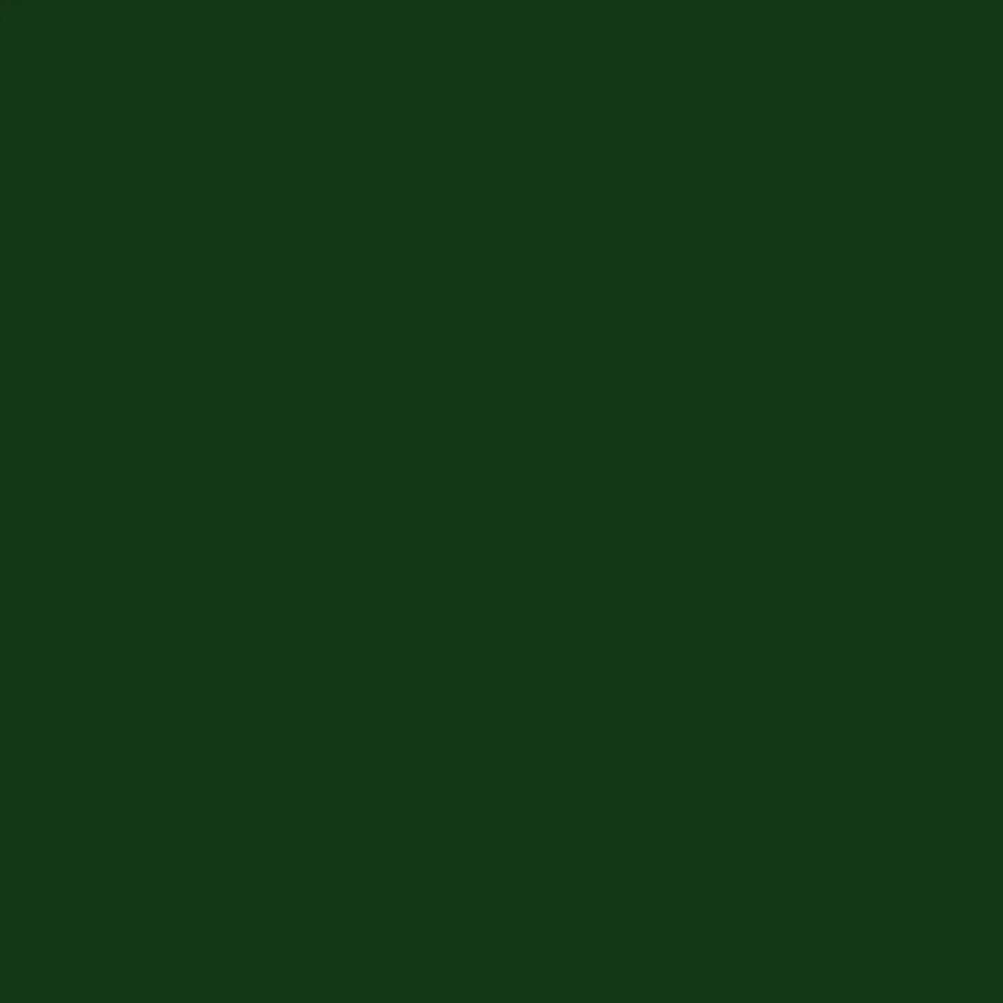 Spectrum Solid by Makower - Dark Green