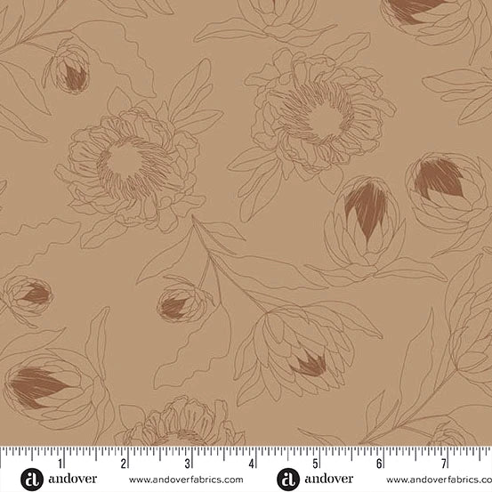 Color Me Whispered by Stephanie Organes Protea Whisper Mocha