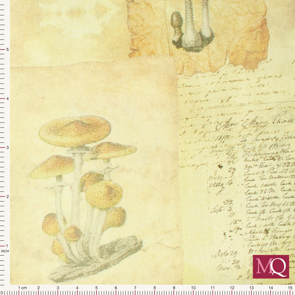 Herbarium by Stof - Fungi and Correspondence