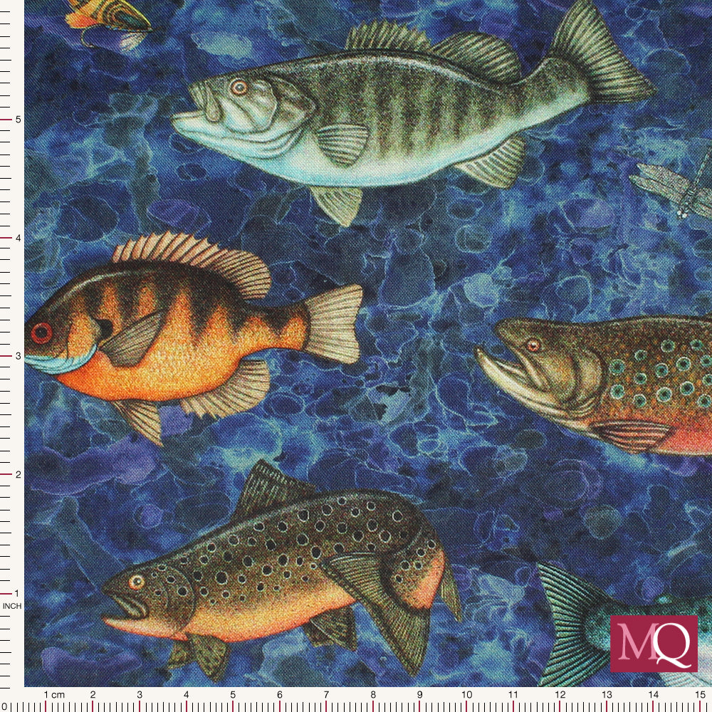 Fish Tails by Dan Morris for QT Fabrics - Fish Allover Blue