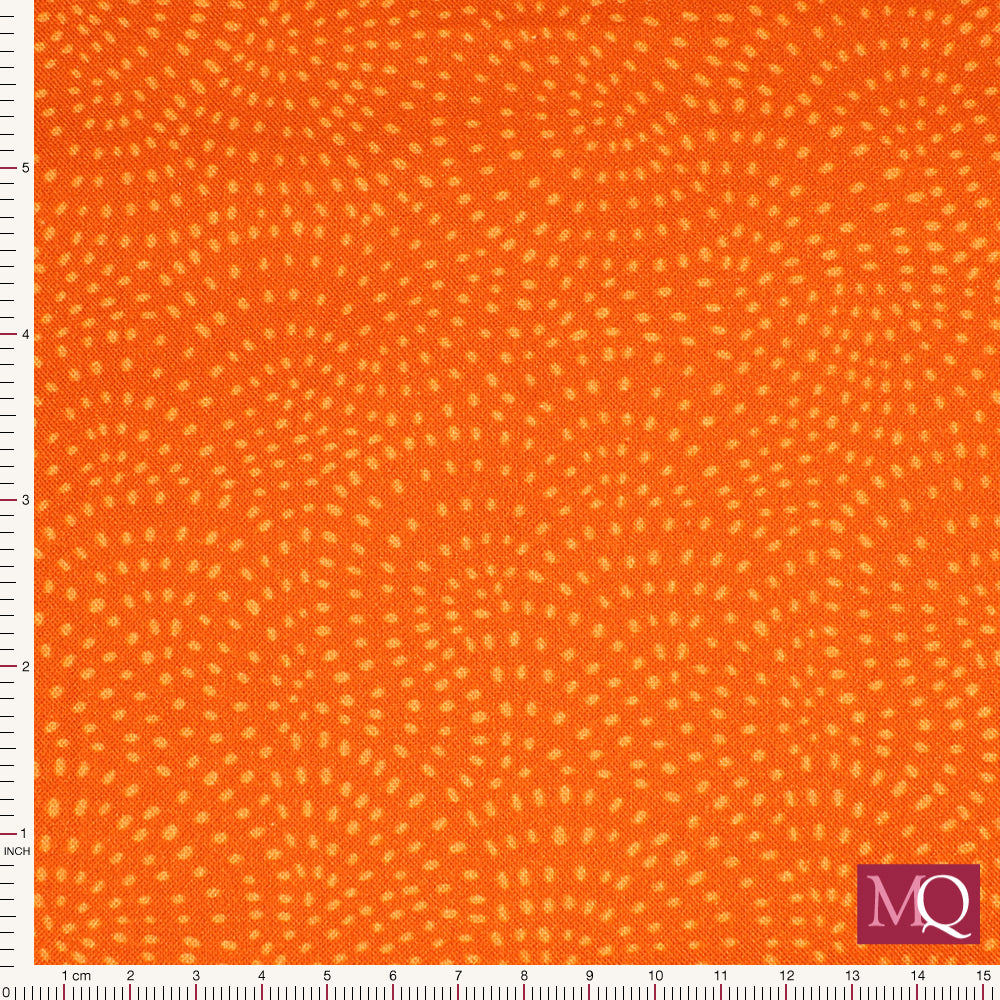 Twist by Dashwood Studio - Pumpkin