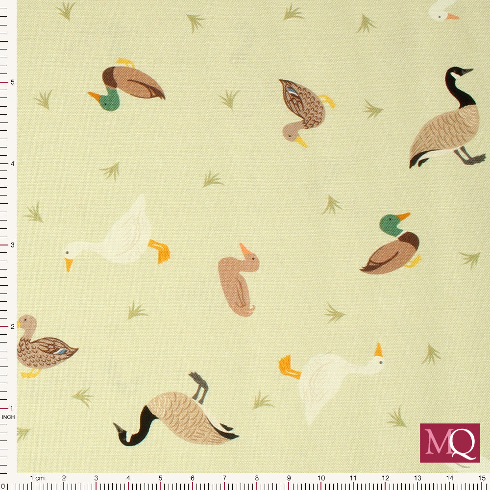 Small Things... Rivers and Creeks by Lewis and Irene - Ducks and geese on green cream