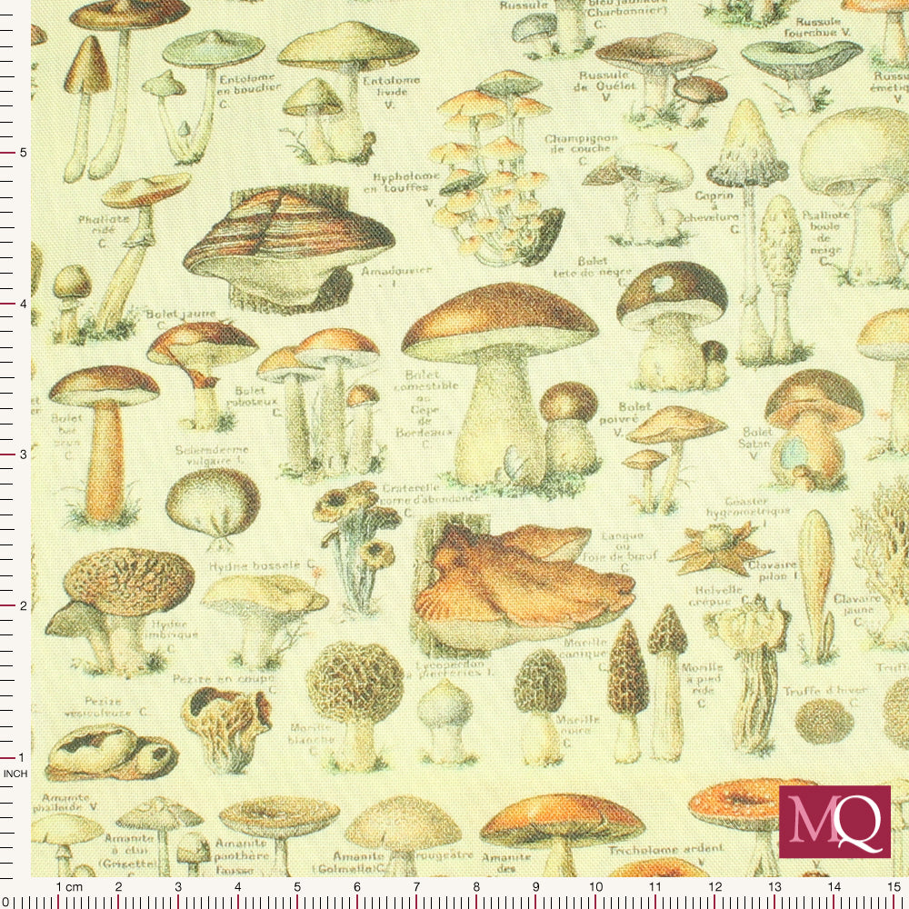 Eclectic Elements by Tim Holtz for Free Spirit -Orange Toadstools