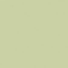 Bella Solids by Moda - Pear