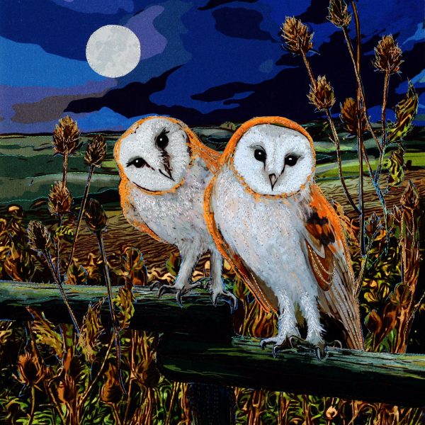 Applique Projects by Kate Findlay