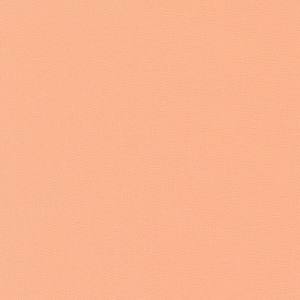 Bella Solids by Moda -Cantaloupe