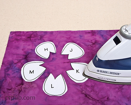 Wash-Away Applique Sheets - C & T Publishing