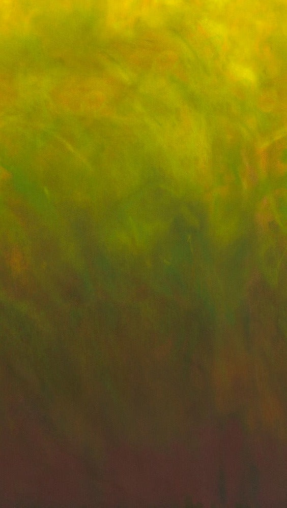 Sky by Robert Kaufman - Pistachio