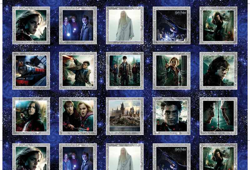 Harry Potter 2nd Edition By Warner Brothers For Benartex – Multi