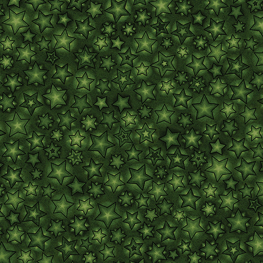 12 Days of Christmas  by Nancy Halvorsen  for Benartex -Starry Skies  Green