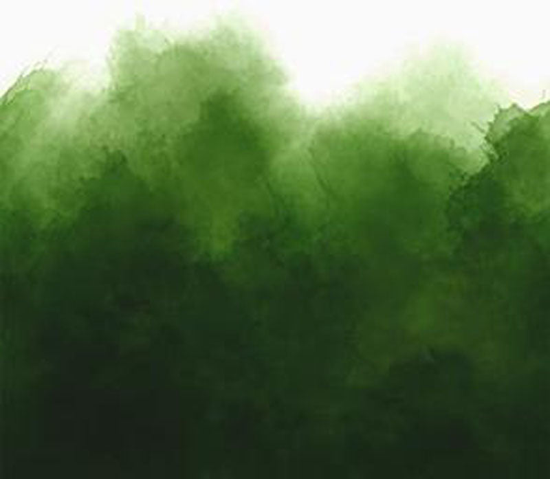 Mystic Ombre by V & CO  for Moda -Evergreen