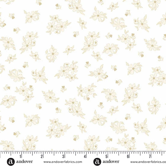Color Me Whispered by Stephanie Organes Treasure Blooms Cream