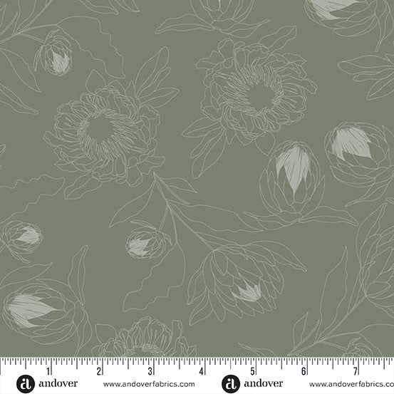 Color Me Whispered by Stephanie Organes Protea Whisper Olive Green  Remnant