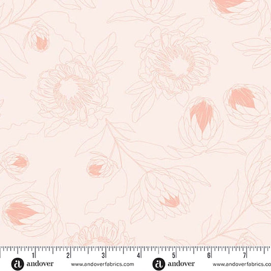 Color Me Whispered by Stephanie Organes Protea Whisper Light Salmon