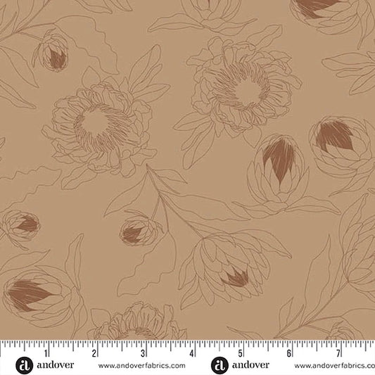 Color Me Whispered by Stephanie Organes Protea Whisper Mocha