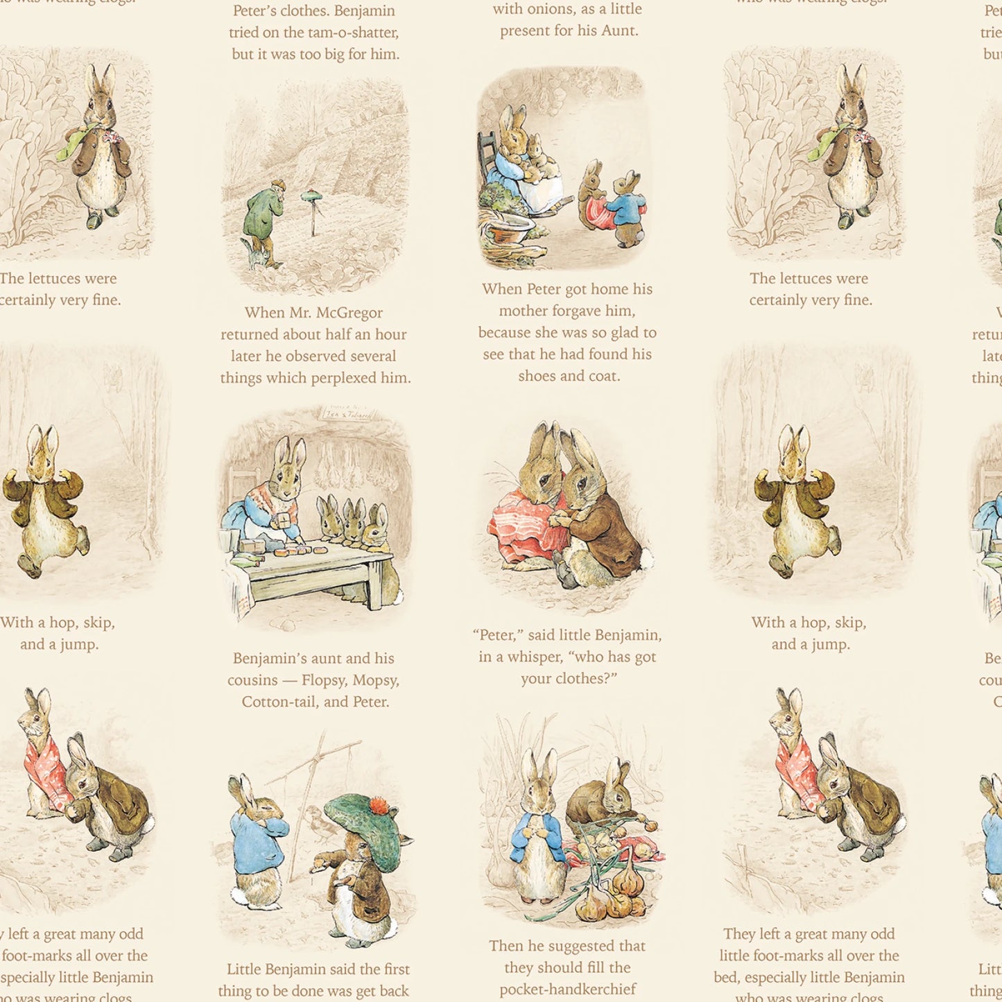 Peter Rabbit & Benjamin Bunny Story Time