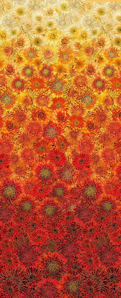 ombre Metallic Mums  by Timeless Treasures - Harvest - Autumn