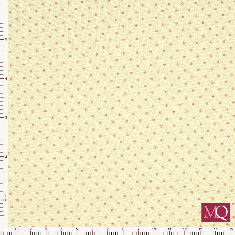 Poppy Seeds  by Laundry Baskets Quilts for Andover -LR
