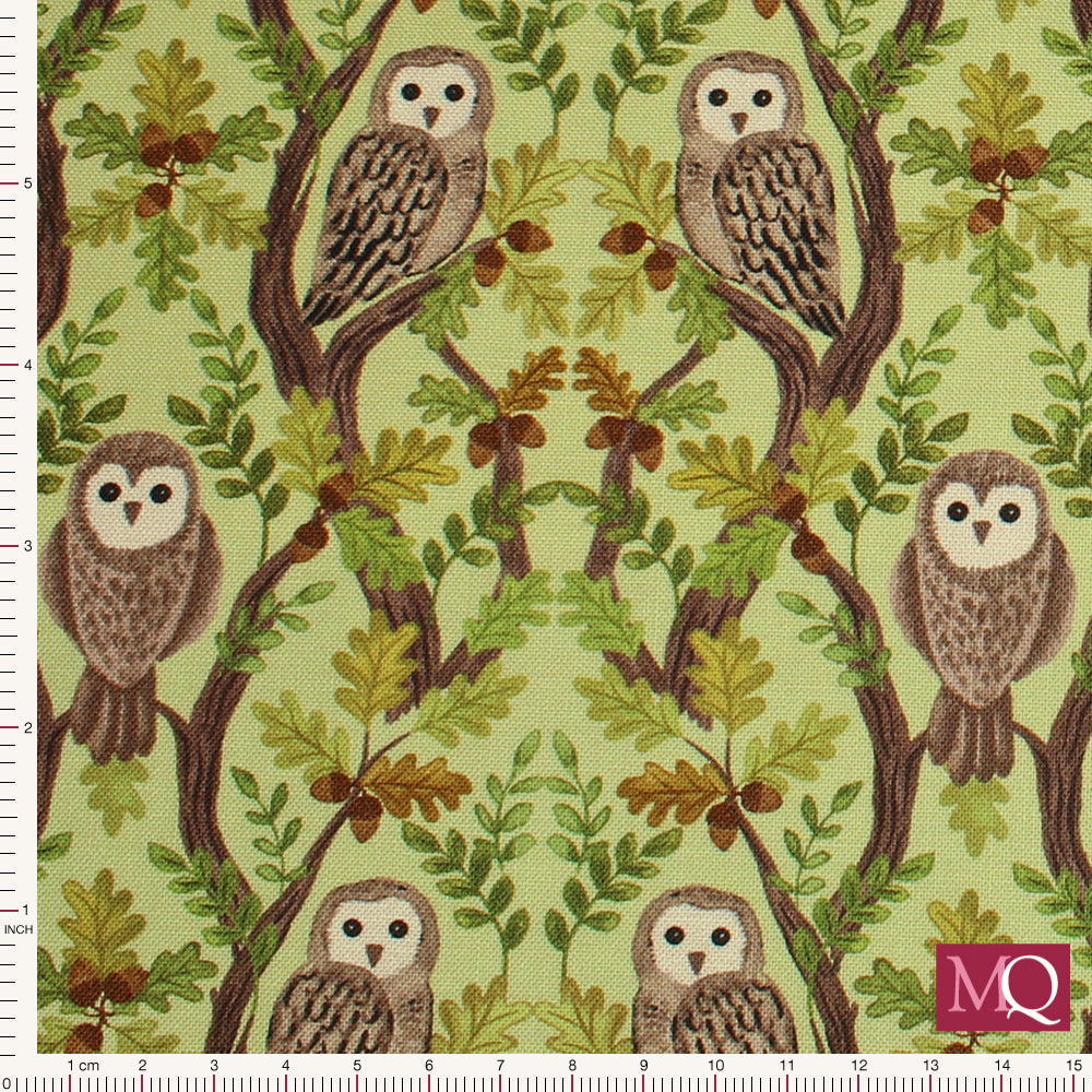 Old Quercus by Lewis and Irene  - Wise owls on Green - A932b