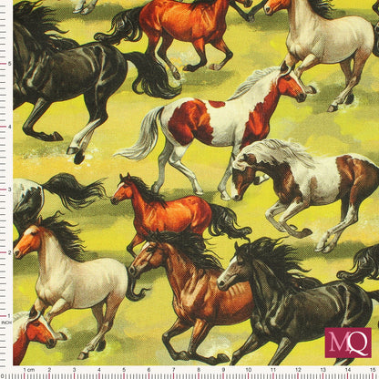 Farmyard by Nutex -  81910 104  Horses