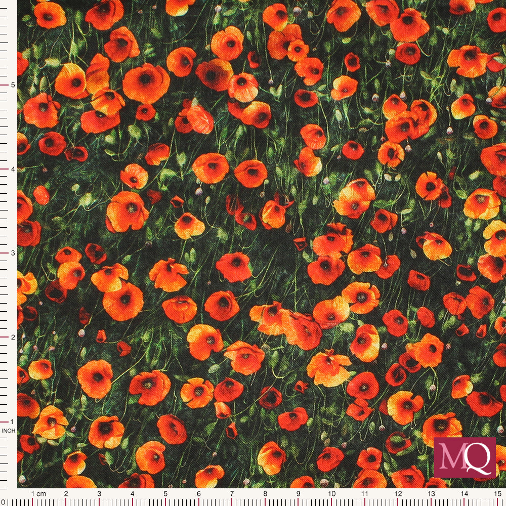 Earthly Delights  by Dan Morris for QT Fabrics  £1.60/10cm  Poppies