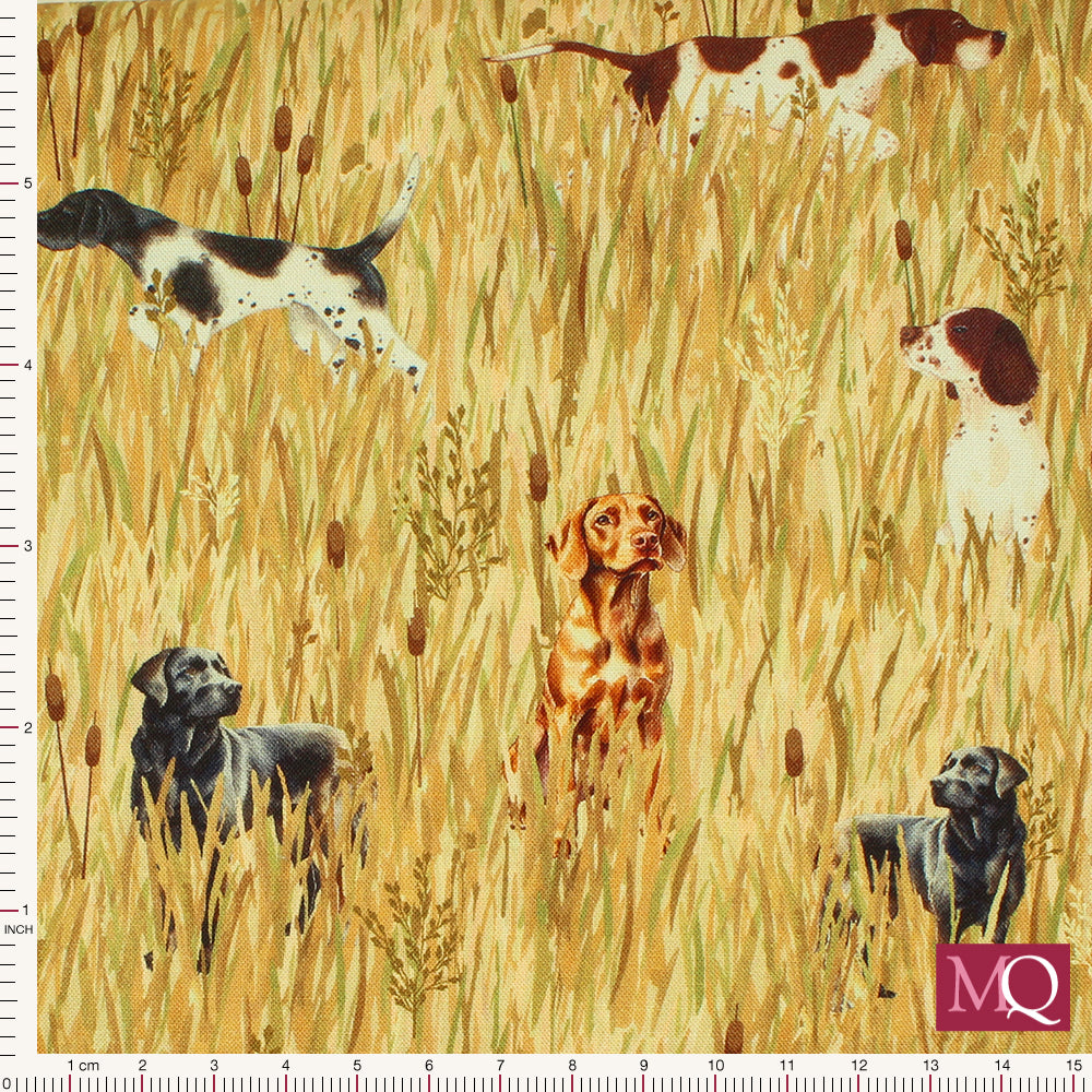 Country Pheasants by Nutex -  82010 3 Gun Dogs