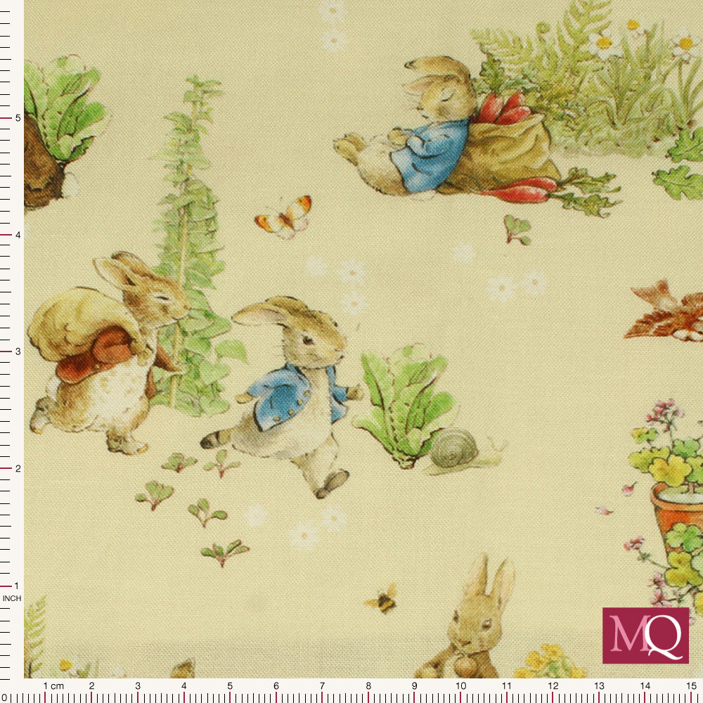 Peter Rabbit Remnant