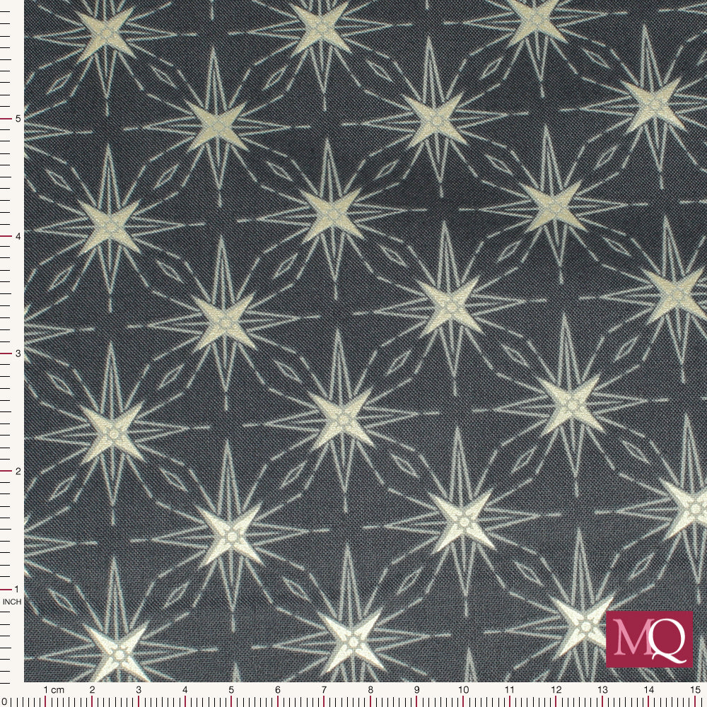 Where the Sky Dances by Lewis and Irene - North star on dark blue