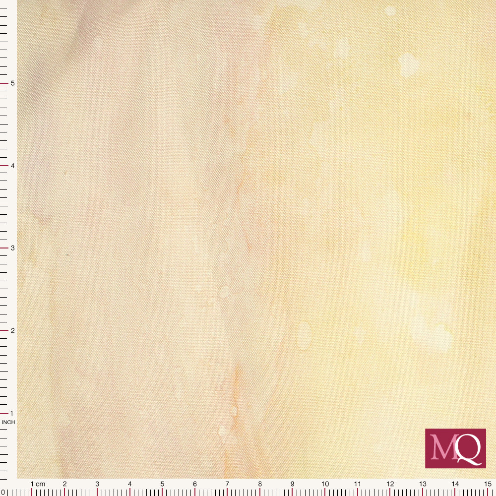 Ocean Life by Leslie Trimbach for Windham -Sand