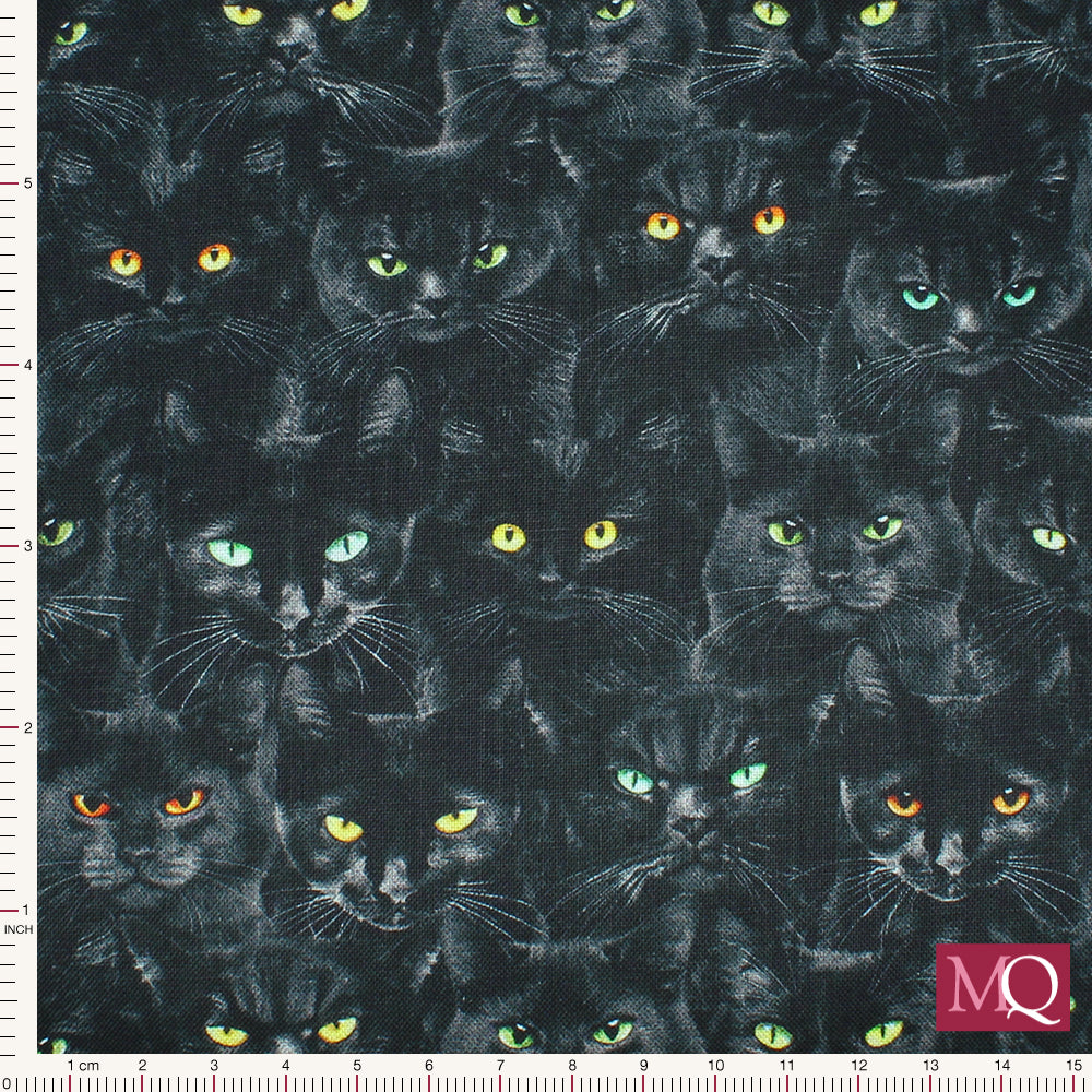 Cats by Timeless Treasures - Black