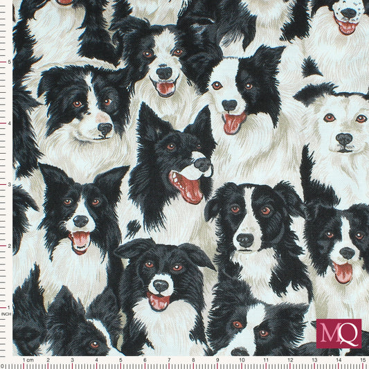 Border Collieby Makower