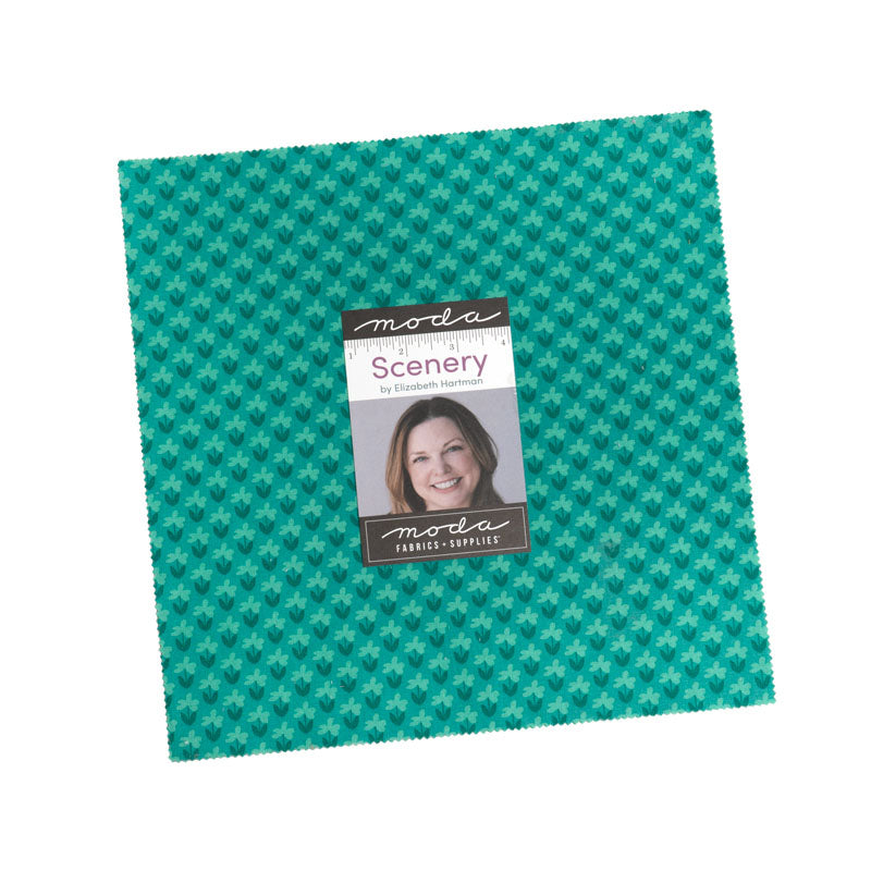 Scenery  Layer Cake  -by  Elizabeth Hartman for Moda LC51270