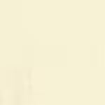 Paintbrush Studio Calico   - 108" Wide.  £18m