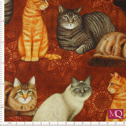 Felicity by Quilting Treasures - Cats 28488-T  Remnant