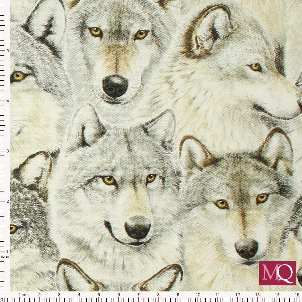 Wolves by Kathy Goff at Northcott - Gray Wolf