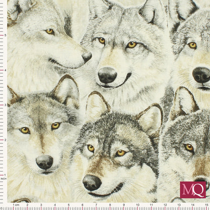 Wolves by Kathy Goff at Northcott - Gray Wolf